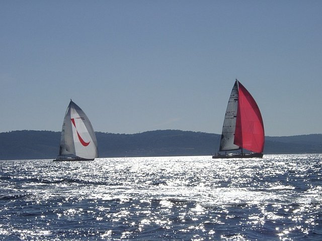 wallys - 5.jpg